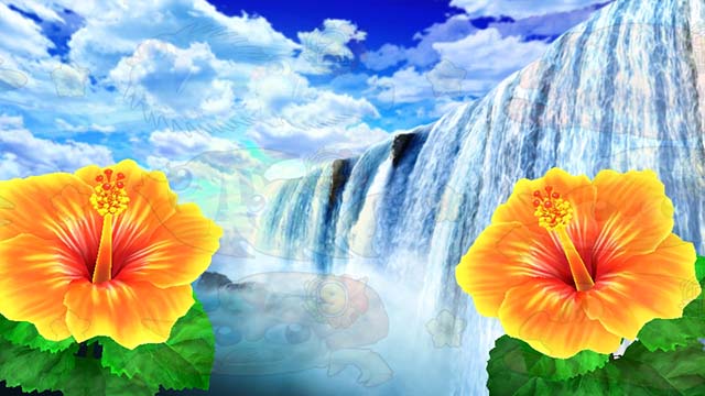 ギンギラパラダイス夢幻カーニバル（ギンパラ）・ハイビスカスモード専用