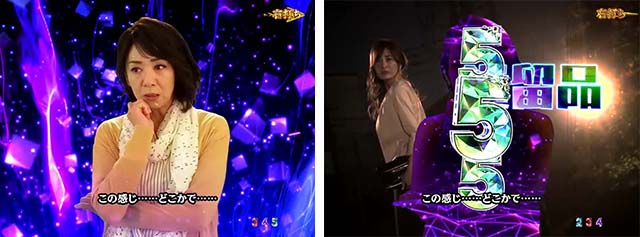 火曜サスペンス劇場最後の推理(ぱちんこ)・超真相究明RUSH