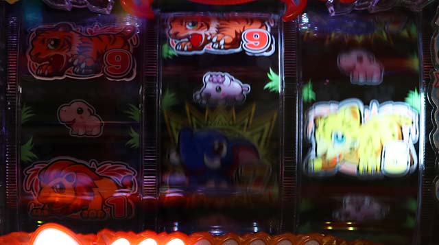 野生の王国どらむサファリ・先読み予告(その他)