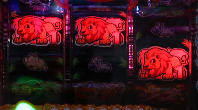 野生の王国どらむサファリ・リーチ前予告