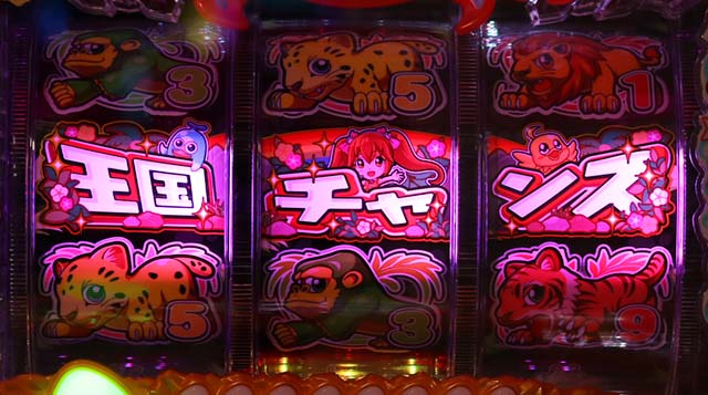 野生の王国どらむサファリ・リーチ前予告