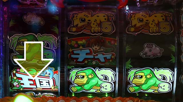 野生の王国どらむサファリ・かくれんぼリーチ