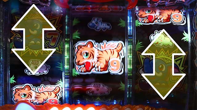 野生の王国どらむサファリ・疾走リーチ