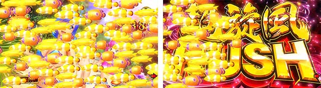 スーパー海物語IN沖縄5（沖海5）・モード共通の注目ポイント