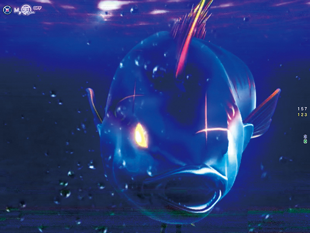 ぱちんこ・元祖大工の源さん2・漁師モード中・主要演出