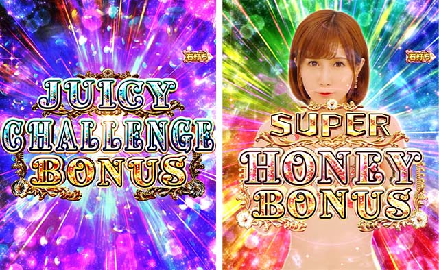 ぱちんこ・ジューシーハニーハーレム・大当りの種類