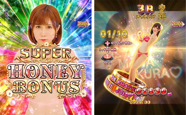 ぱちんこ・ジューシーハニーハーレム・大当りの種類