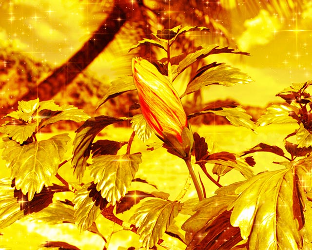 ぱちんこ・真花の慶次3・上位RUSH