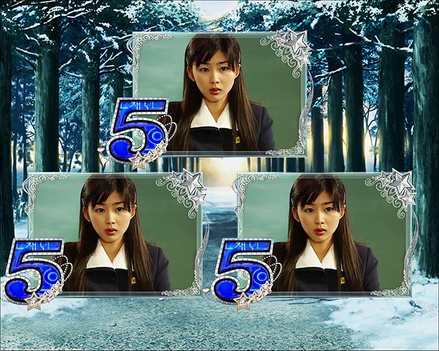 ぱちんこ冬のソナタ My Memory・大当りの種類