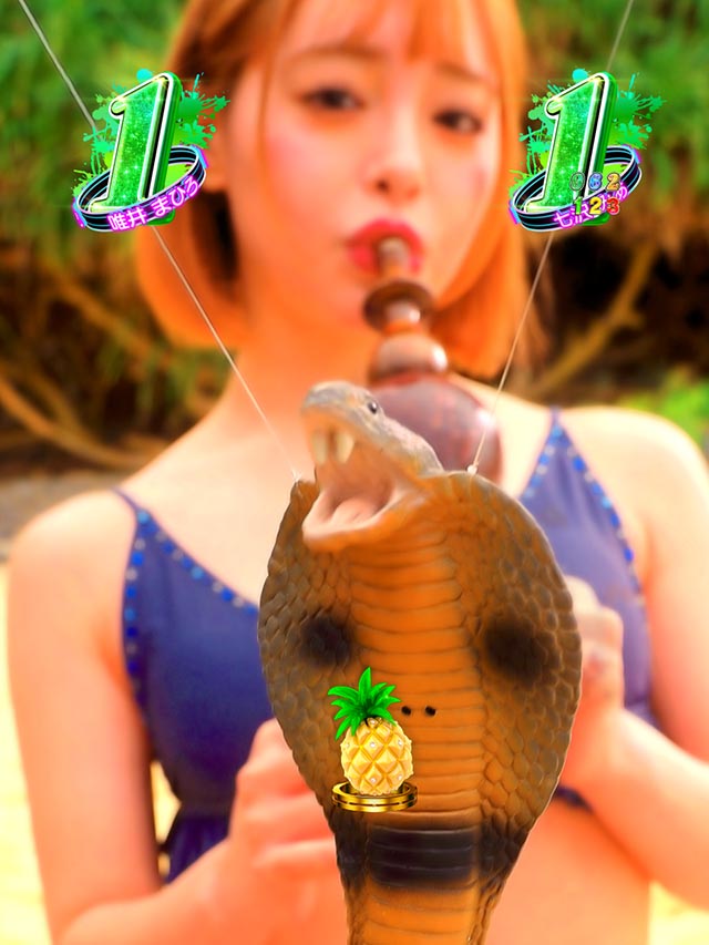 ぱちんこ・ジューシーハニー極嬢・チャレンジリーチ