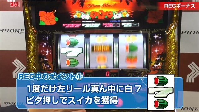 ニューハナハナゴールド-30の発表会/内覧会レポート｜DMMぱちタウン