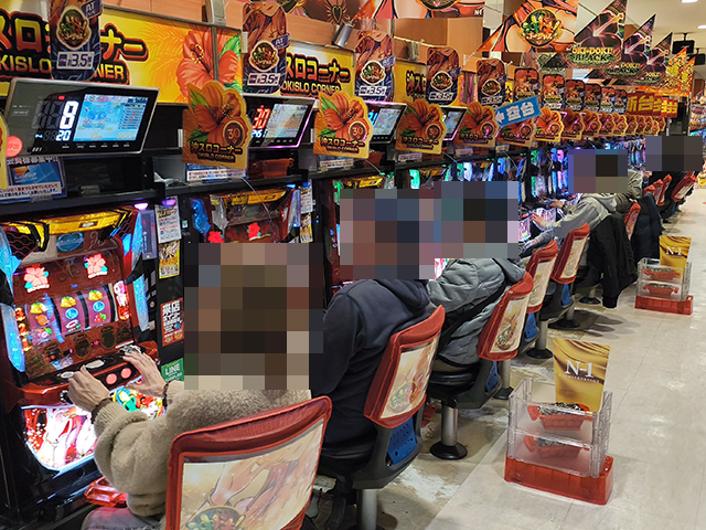 エヌワン万代店（新潟県）の来店レポート（2026月02月07日）｜DMMぱち