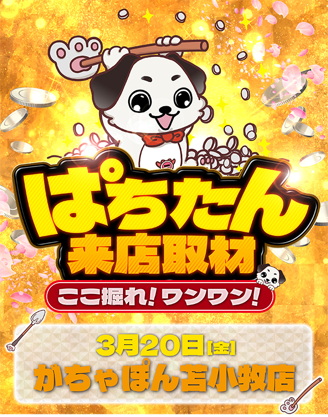 がちゃぽん苫小牧店(北海道)の来店レポート(2026月03月20日)｜DMMぱち
