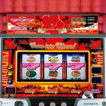家スロット　HANAHANA　ニューハナハナ-30　パイオニア　宅スロ　パチスロ ニューハナハナ-30（パチスロ）設定判別・天井・ゾーン・解析・打ち方