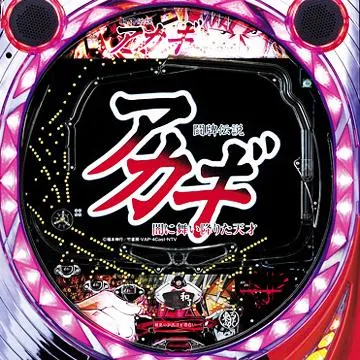 パチンコ実機◇CR闘牌伝説アカギ 狂気編3 奥村遊戯 【公式通販】