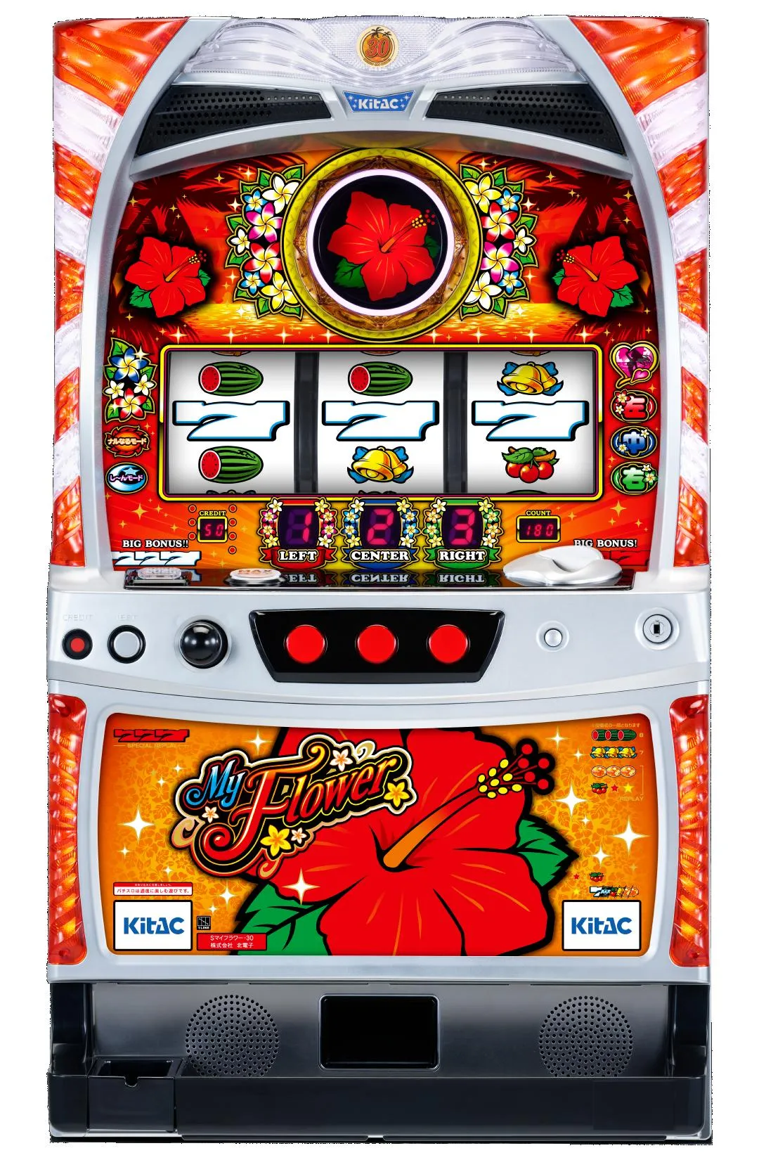 マイフラワー30