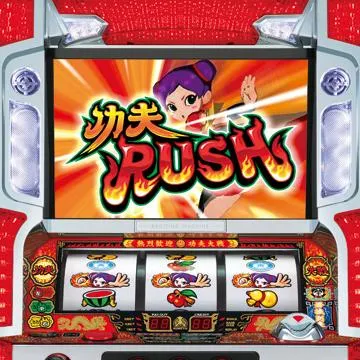 燃えよ!功夫大戦