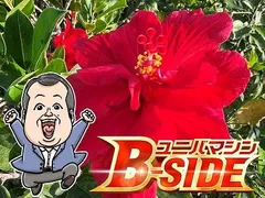 その地域でしか打てない機種の需要が今後は高まる!?