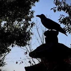 本当にあった怖い話