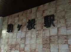 駒ヶ根ソースかつ丼