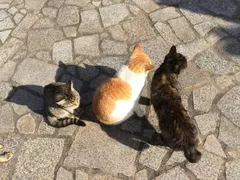 ぶらり鞆の浦（２）