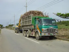 ごっくんサトウキビ