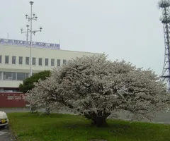 釧路～根室～紋別