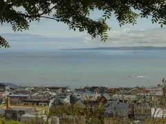 日本最北のサクラ