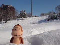 直営店探訪シリーズ２