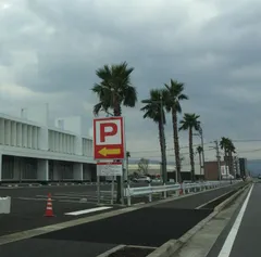 ほらね言った通りでしょ