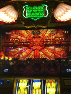 やりたい放題！