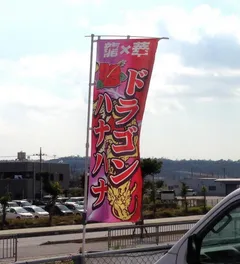 沖縄県から寄せられた情報