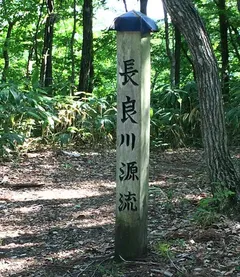 負けるときは負けてます