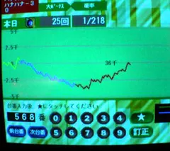 なんだかんだで