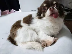 ☆３月スケジュール☆