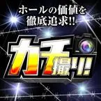 Dino武庫川 2022/6/1/(水)の来店イベント情報「SCORPION取材」