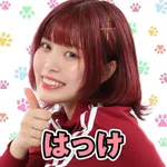 スーパードーム桃山店 2024/11/6/(水)の来店イベント情報「はっけ」