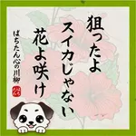 ザ･ガーデン 2026/1/24/(土)の来店イベント情報「ぱちたん川柳SELECTION」