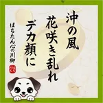 ぱちんこ太陽 2026/2/27/(金)の来店イベント情報「ぱちたん川柳SELECTION」