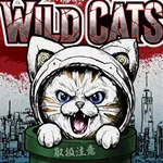 SLOT COSMO 405 2026/8/24/（月）の来店イベント情報「WILD CATS」