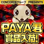 コンコルド浜松於呂店 2026/9/23/（水）の来店イベント情報「PAYA君賞品入荷」