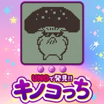 中山ZoRoN 2026/2/23/(月)の来店イベント情報「キノコっち」