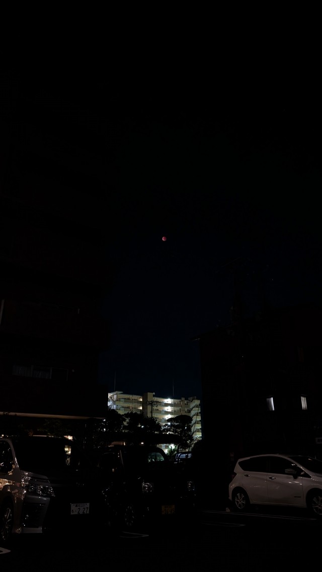 DIVO知寄店の最新情報画像