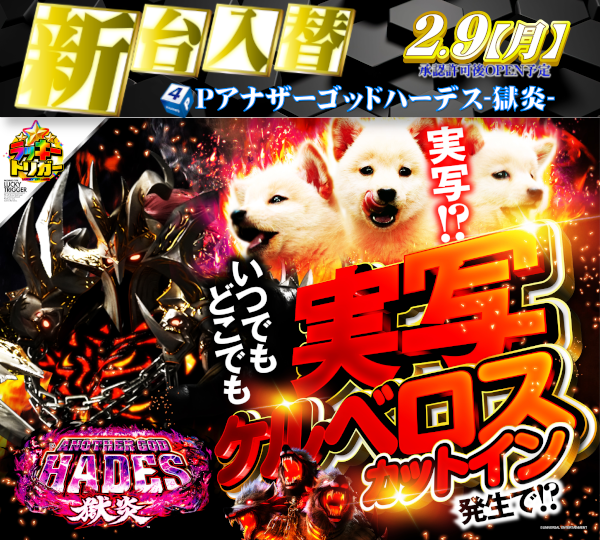 DIVO安芸店の最新情報画像