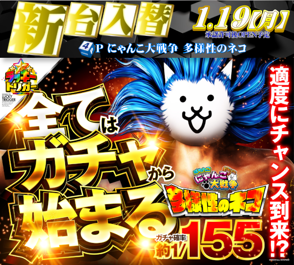 DIVO安芸店の最新情報画像