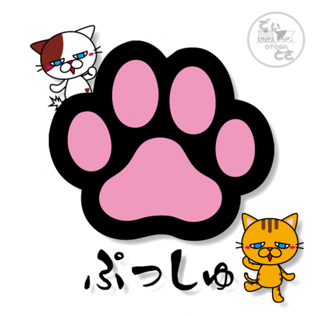 セントラルディーボ土佐店の最新情報画像