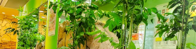 タマイセンター田野店の最新情報画像