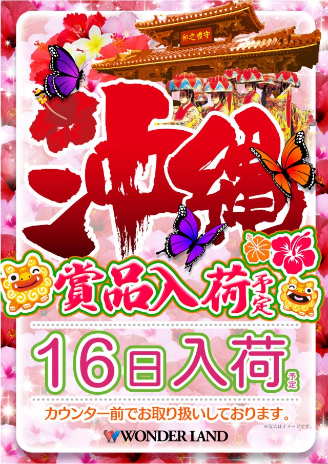 ワンダーランド中津米山店の最新情報画像