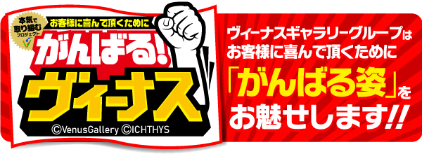 ヴィーナスギャラリー清川店の最新情報画像