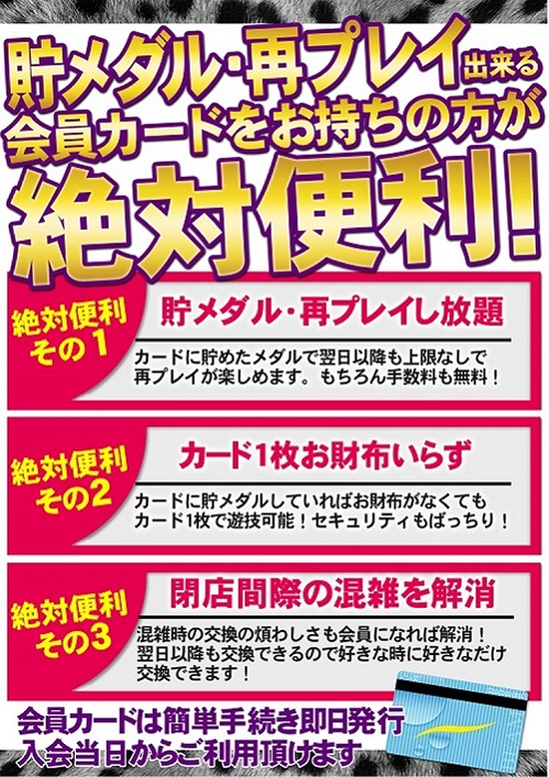 BEAM HARA 333の最新情報画像